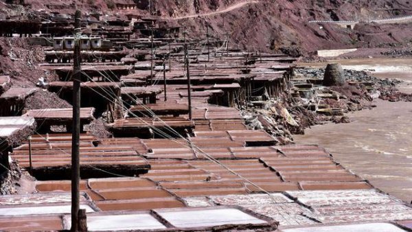 古代为什么要控制盐的经营