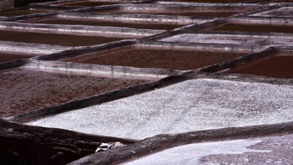 古代为什么要控制盐的经营