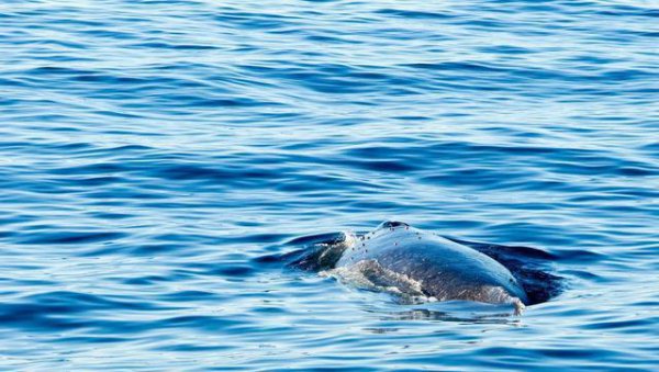 钢铁潜艇为什么会被水压扁