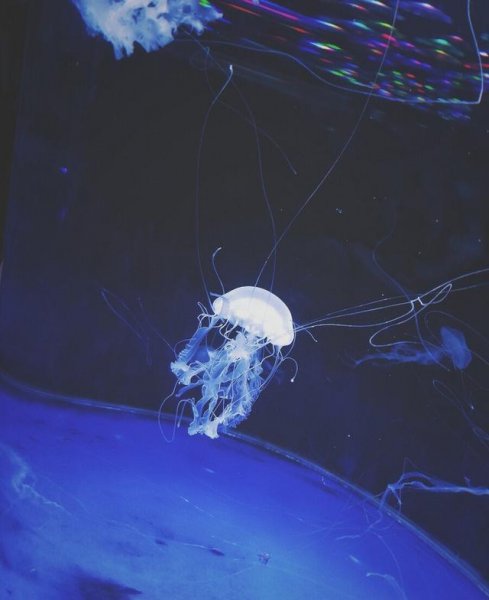 钢铁潜艇为什么会被水压扁