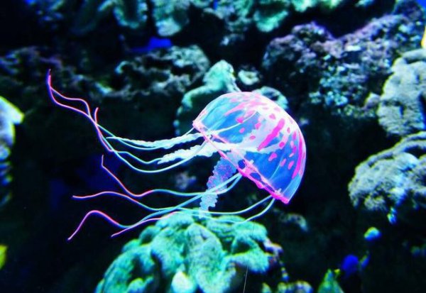 钢铁潜艇为什么会被水压扁