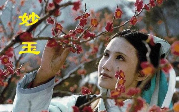 妙玉为什么嫌弃刘姥姥