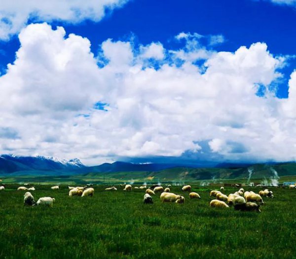 为什么飞机不能横跨西藏