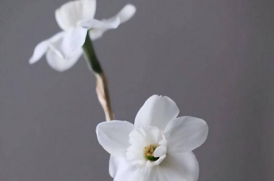 射手座男生性格弱点和缺点 射手男性格脾气超准分析