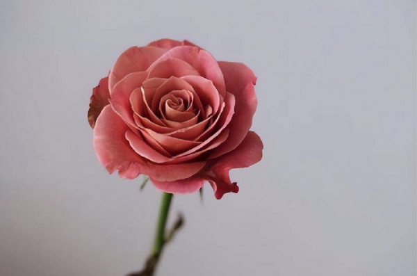 射手座男生性格弱点和缺点