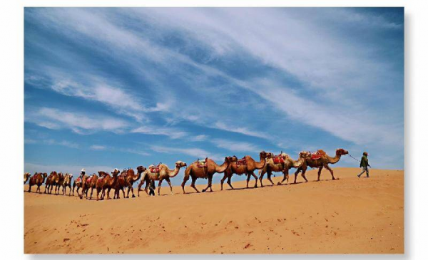 高仙芝的怛罗斯之战对的是什么王朝