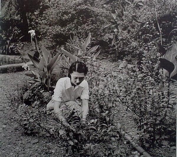 赵一荻到底有多漂亮