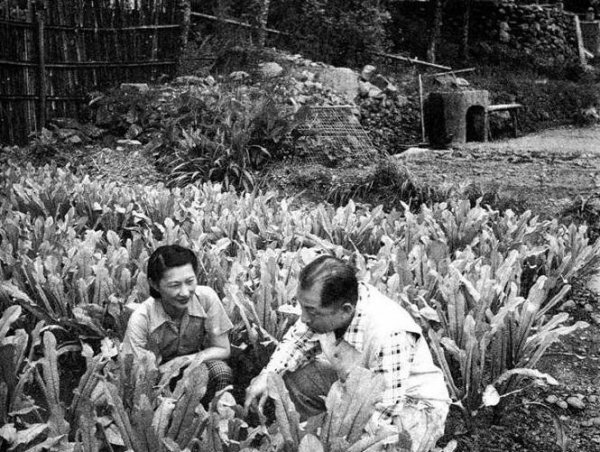 赵一荻到底有多漂亮