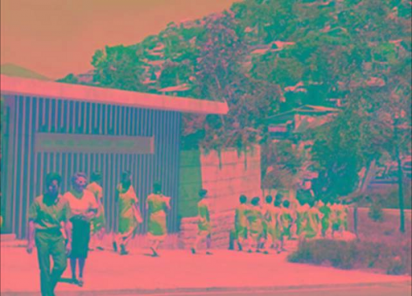 李宗仁的子孙后代都在干什么