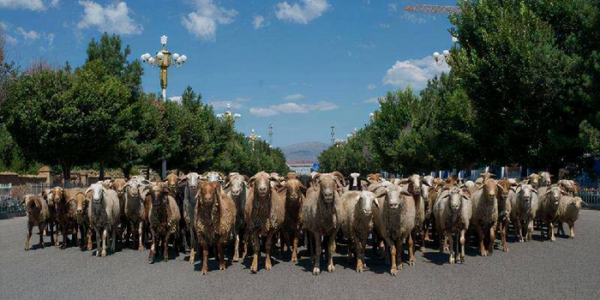 为什么说林则徐是罪人