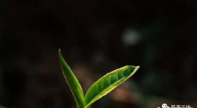 无极之外复无极也什么意思 无极是什么状态翻译