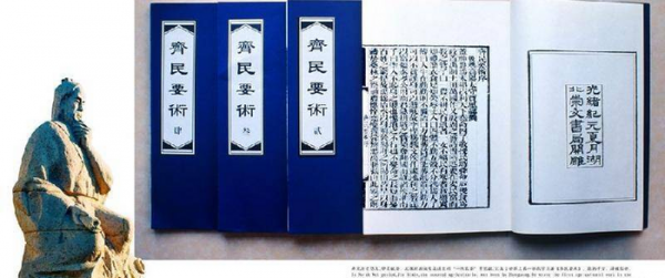 农书的作者是谁