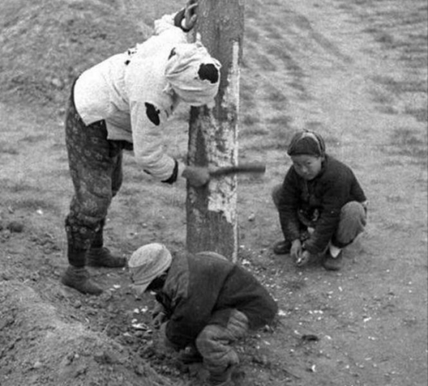 三年大饥荒的根本原因