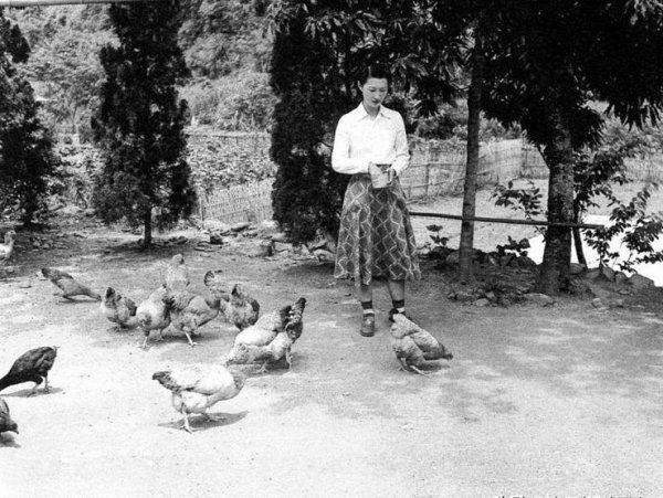 赵一荻个人简历