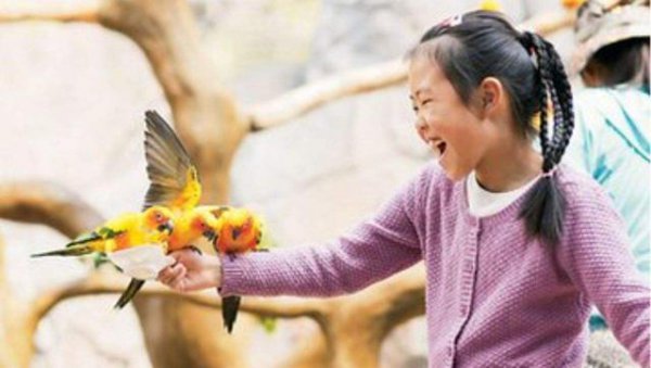 人前教子 人后教妻什么意思