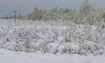 1816无夏之年中国记载 1816年中国发生什么事