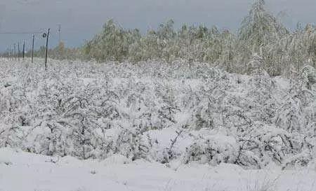 1816无夏之年中国记载