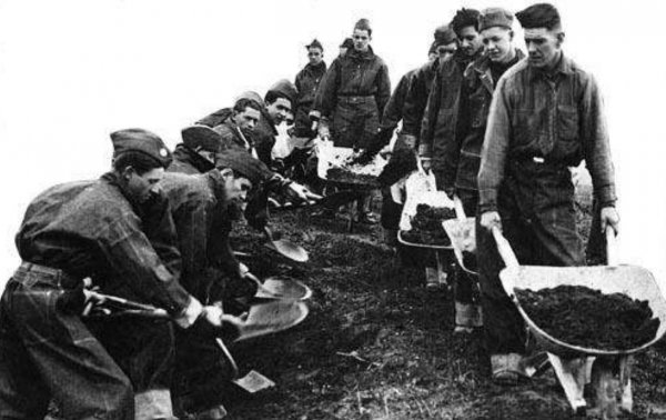 罗斯福新政的中心措施是什么