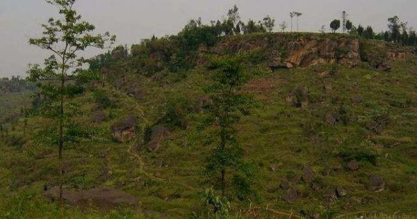 怎么判断祖坟有问题