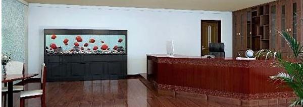 家庭鱼缸里为啥要养一条黑色的鱼