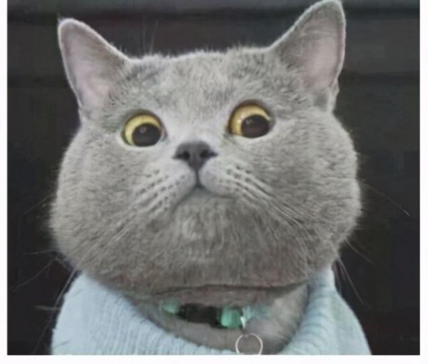 怎样辞职能立马走人又不扣钱