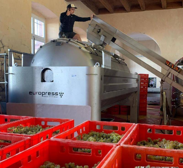 自然酒和葡萄酒的区别