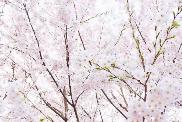 infp型人格最接近神