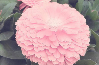 水瓶男在试探你的手段 水瓶男在试探喜欢你的小细节