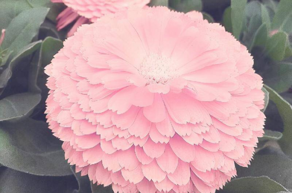 水瓶男在试探你的手段