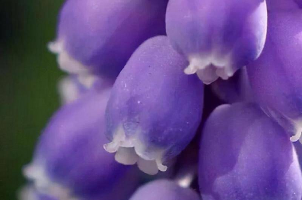 水瓶男在试探你的手段