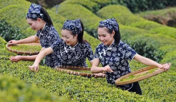 黄梅戏起源于哪里