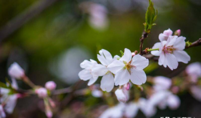 怎么样处理好夫妻关系 夫妻之间怎样相处才能和谐