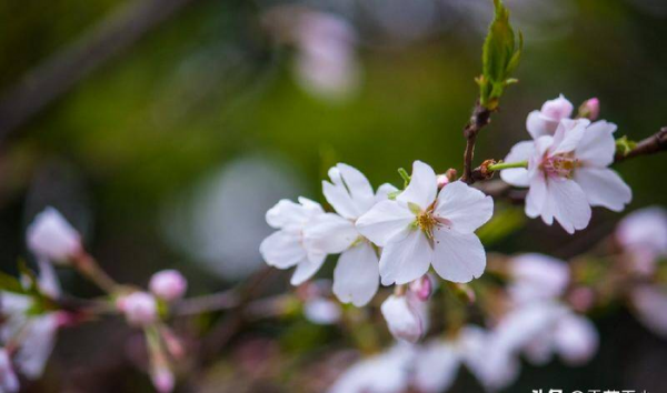 怎么样处理好夫妻关系