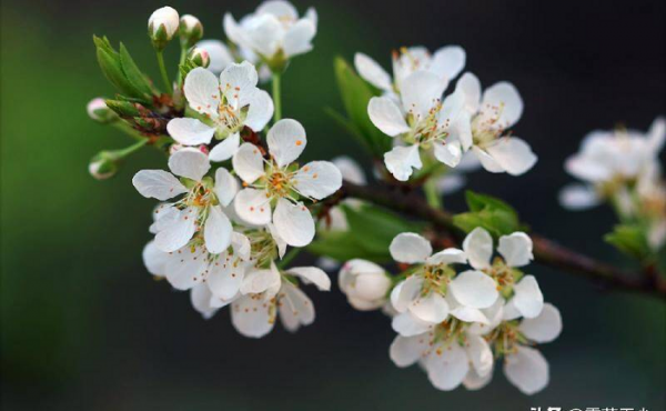 怎么样处理好夫妻关系