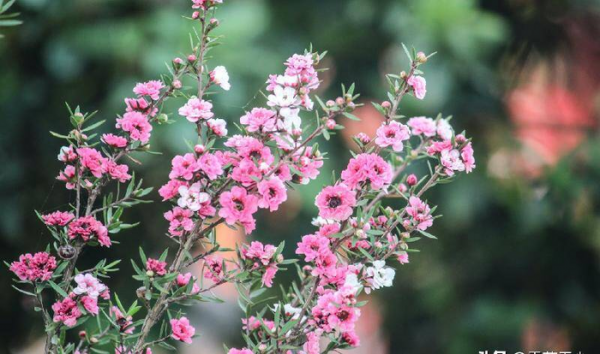 怎么样处理好夫妻关系