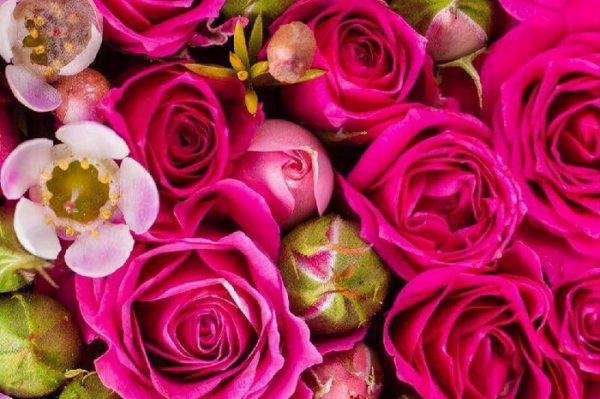 射手座极度想念一个人会发表出来吗