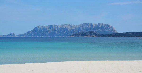 人到中年的感悟经典句子图片文字