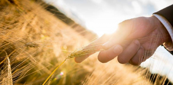 人到中年的感悟经典句子图片文字