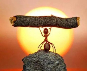 网络用语佛系青年是什么意思 怎么看待佛系人生观