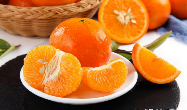 柑子和橘子的区别图片