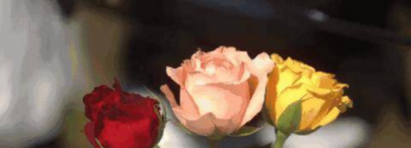 精神内耗严重的表现