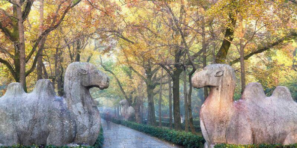 中国历史上在位最长的皇帝