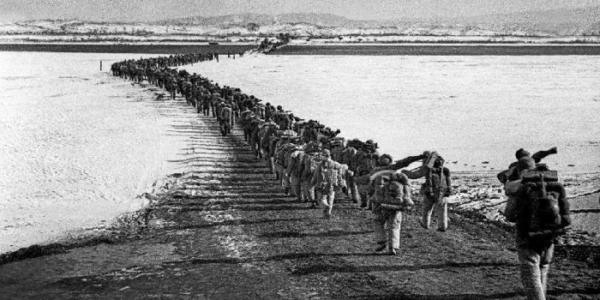 全歼北极熊团我军的伤亡多少