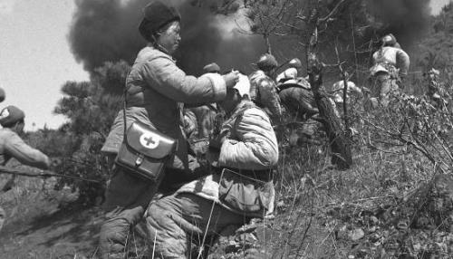 全歼北极熊团我军的伤亡多少