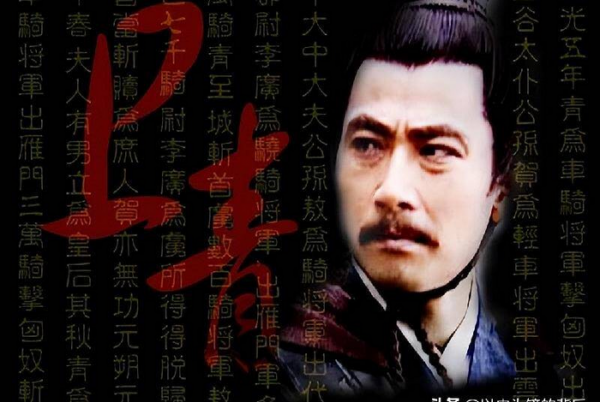 历史上卫子夫真实情况