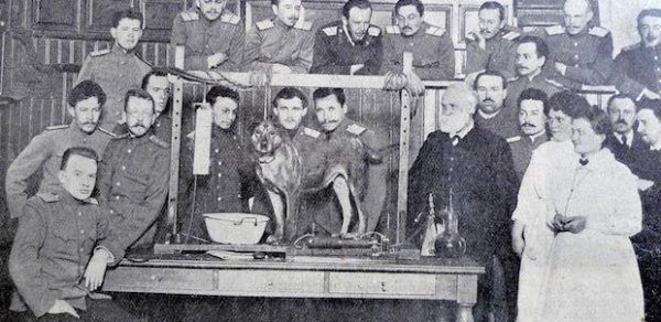 巴甫洛夫条件反射理论在日常生活中应用