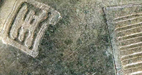 最新荷花5角硬币价格表