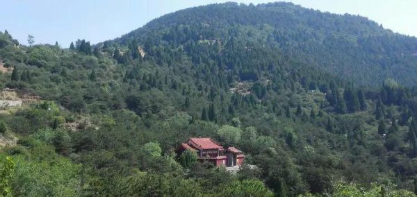 中国历史上真实的白起评价