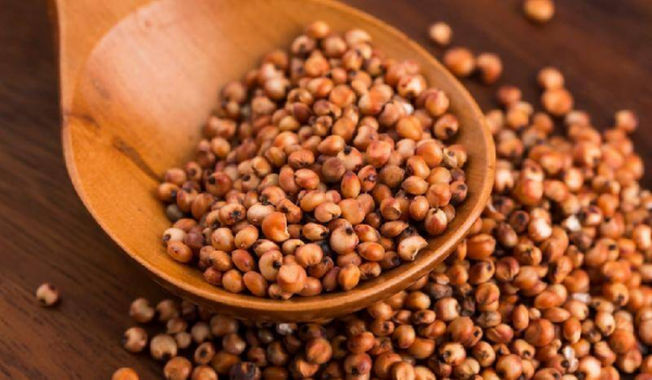 每天一两白酒喝了40年