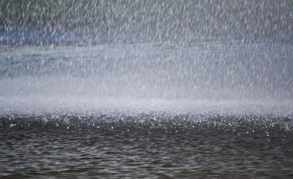 翁卷是哪个朝代的诗人